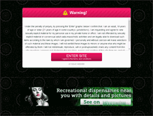 Tablet Screenshot of anajolie.com